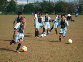 ゼウシスサッカースクール／杉戸ゼウシスFC