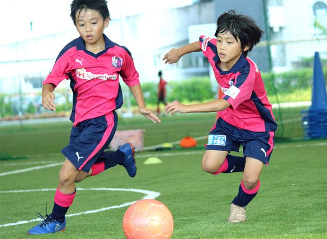 セレッソ大阪サッカースクール エリートNEXT (大阪市内)
